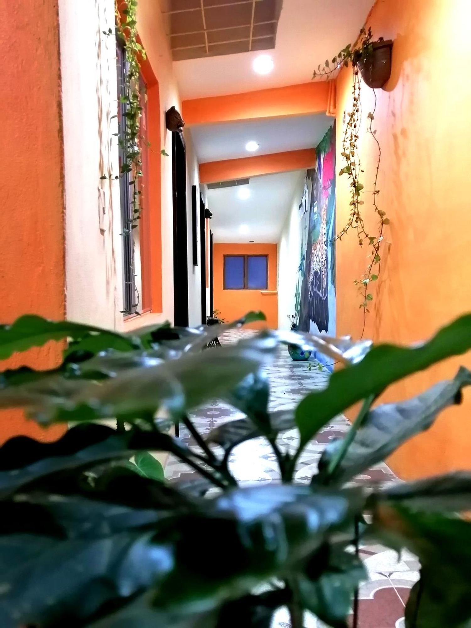 Hotel Amayal San Cristóbal de Las Casas Exterior foto